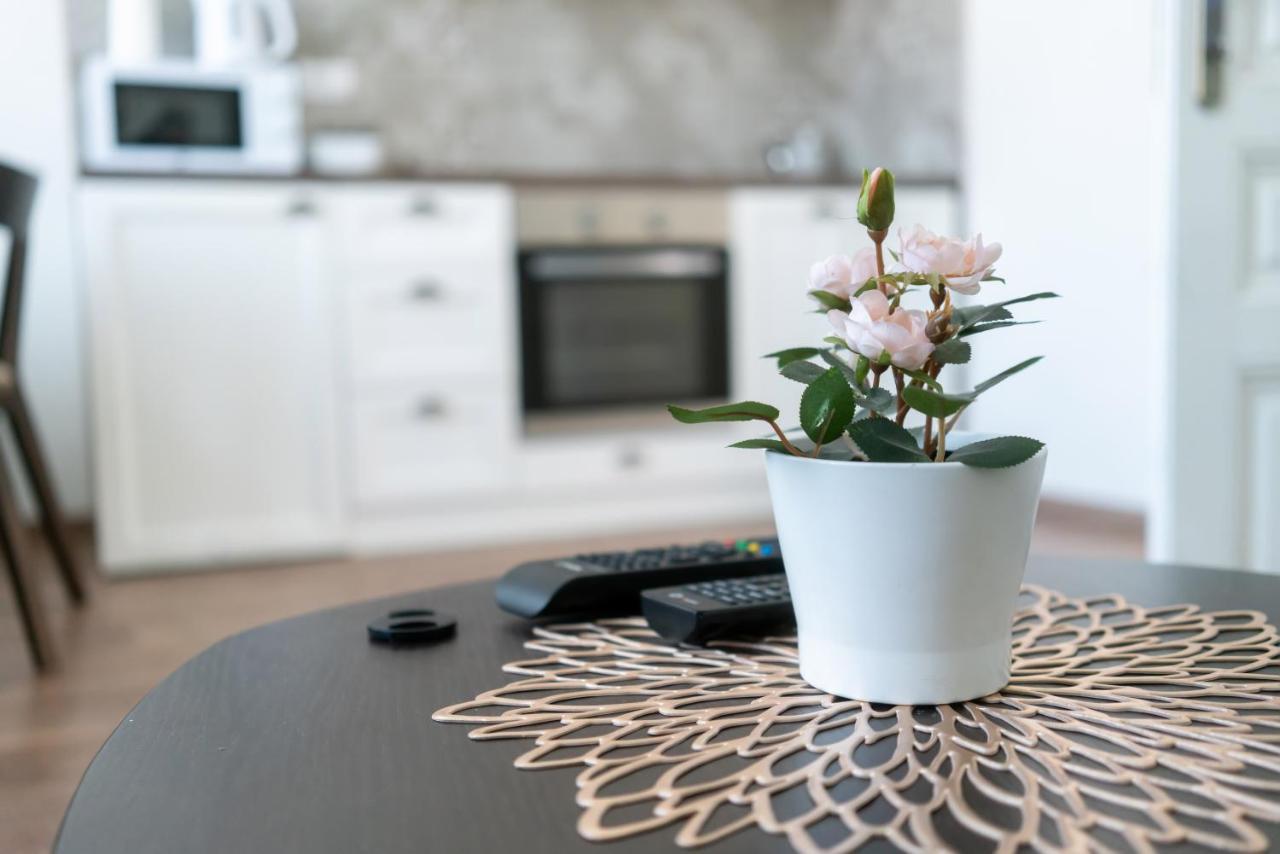 Appartement Spring Rustik à Čačak Extérieur photo